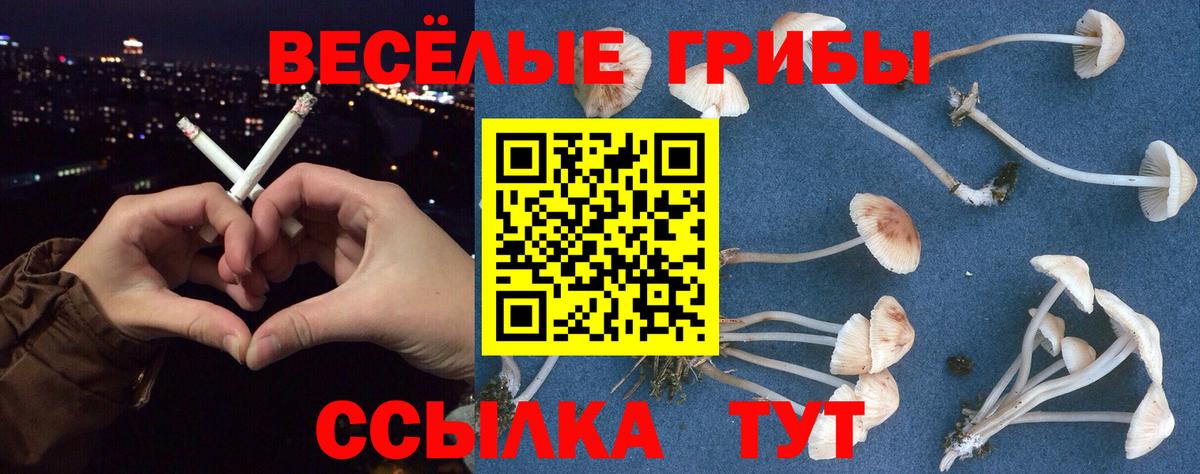 Гусев  цены наркотик  Вход с VPN  Галлюциногенные грибы Cubensis  Галлюциногенные грибы прущие грибы 
