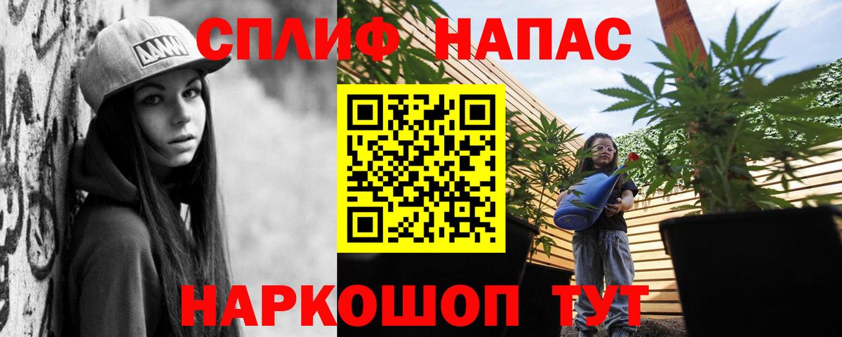 Бошки Шишки MAZAR Гусев